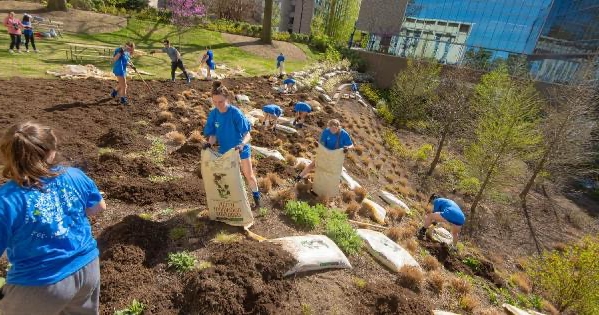 Volunteers work on campus during the 2023 Campus Beautification Day.